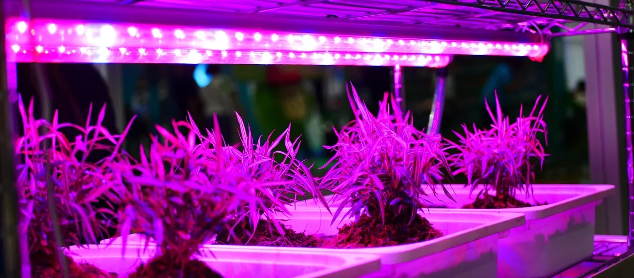 LED Grow Lights Market