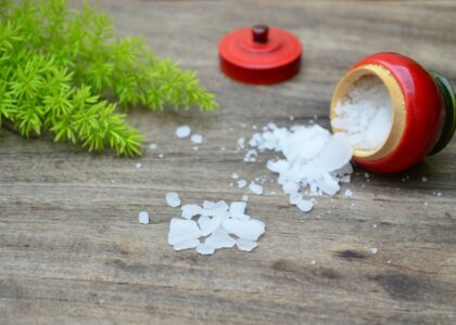 Pharma Grade Synthetic Camphor Market