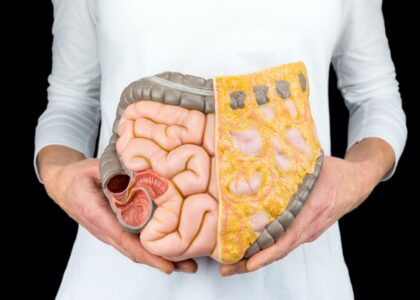 Small Bowel Enteroscopes Market