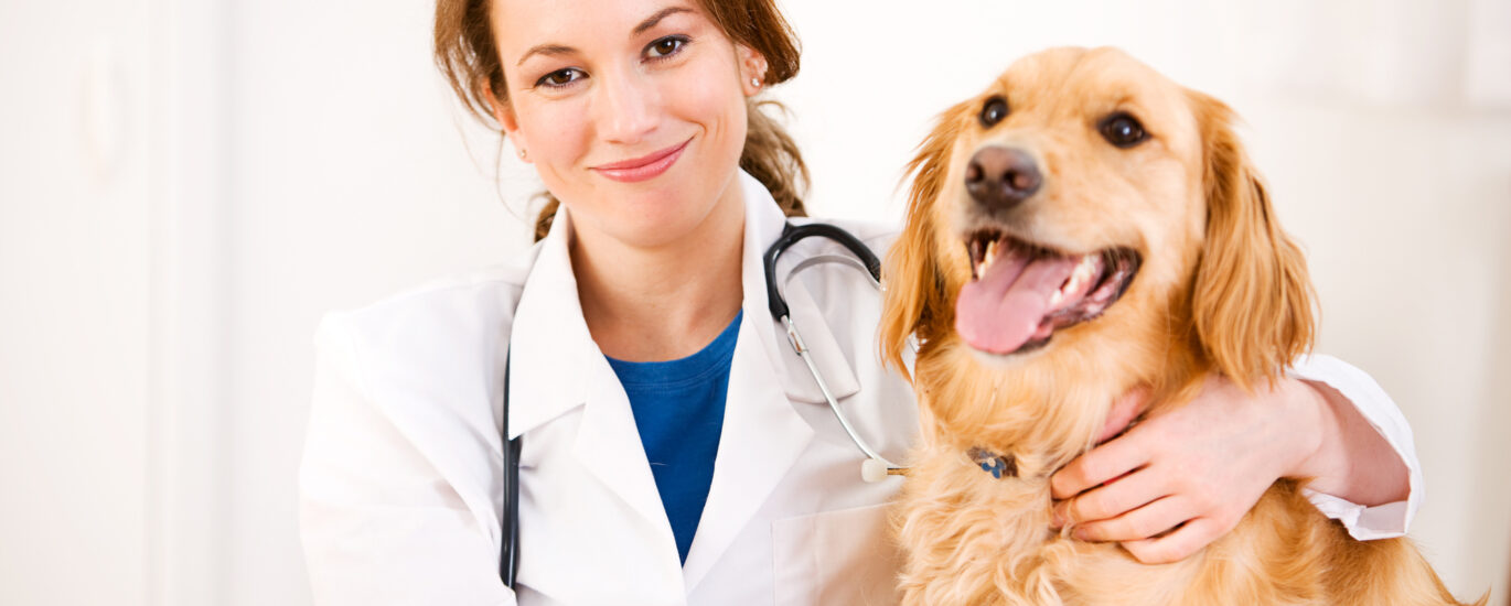 Veterinary Services Industry
