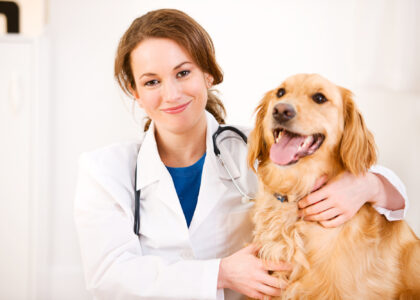 Veterinary Services Industry
