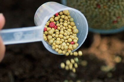 controlled and slow-release fertilizers