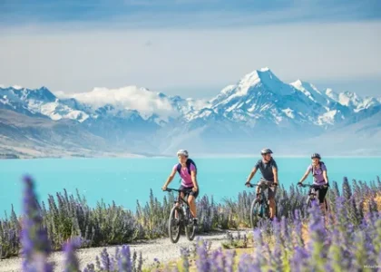 New Zealand Sustainable Tourism Market