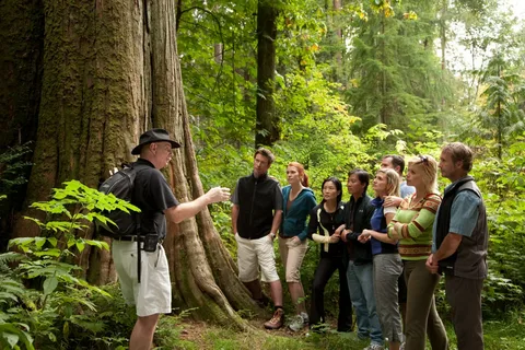 US Sustainable Tourism Market