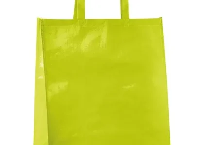 Laminated Woven PP Bags Market