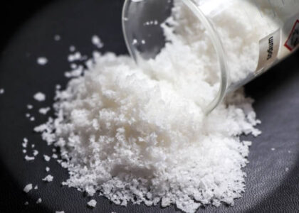 sodium caseinate market