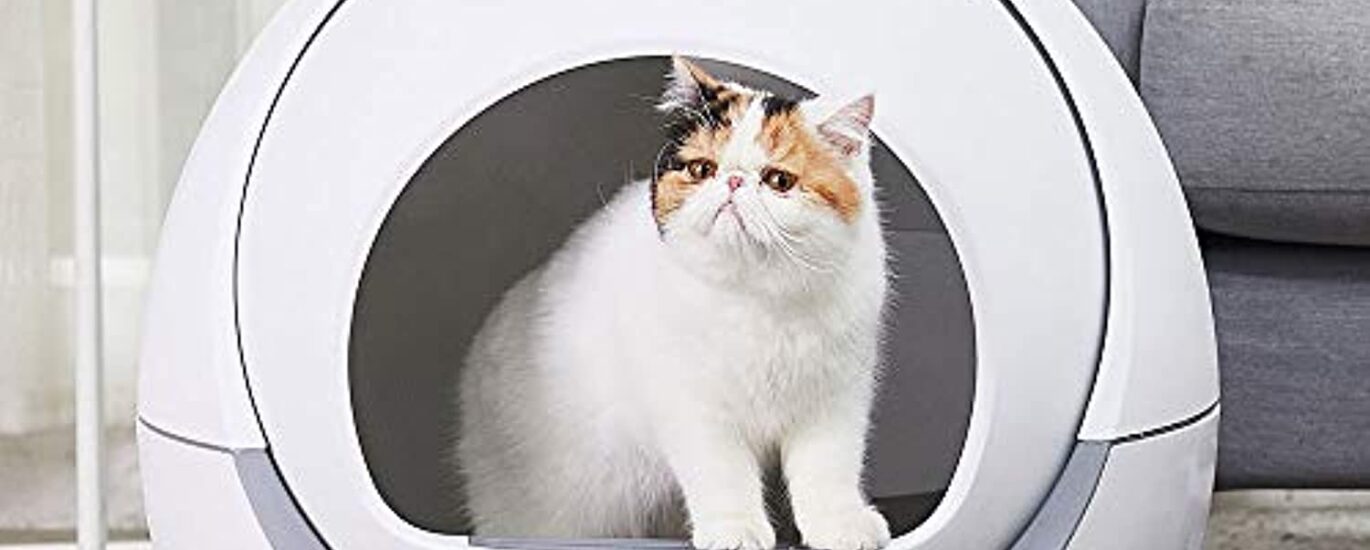 Automatic Self-cleaning Cat Litter Box Market