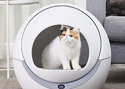 Automatic Self-cleaning Cat Litter Box Market