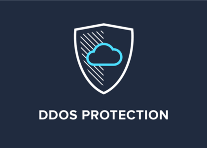 DDoS Protection Market