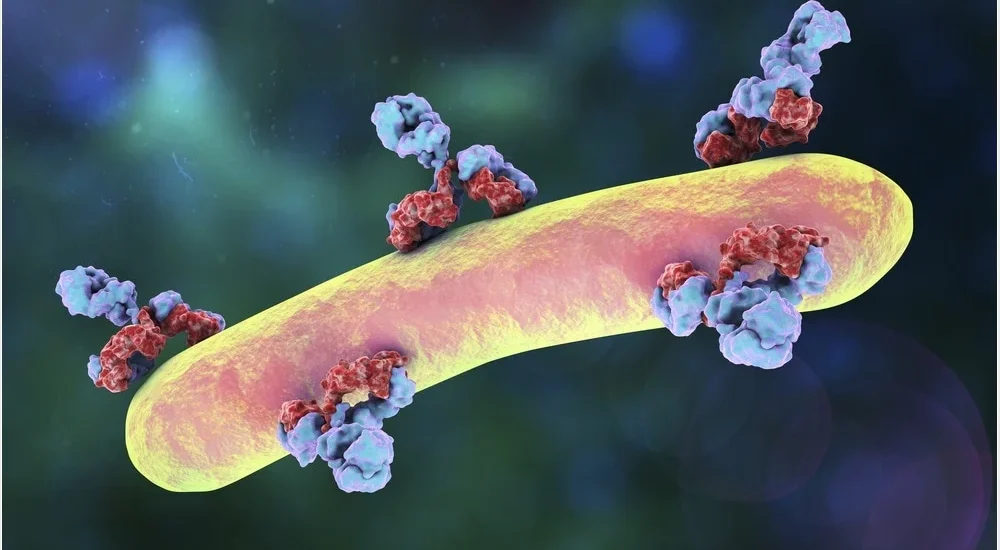 Antiviral Immunoglobulin Market