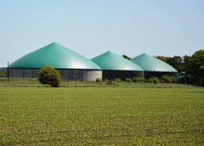 Biogas Market