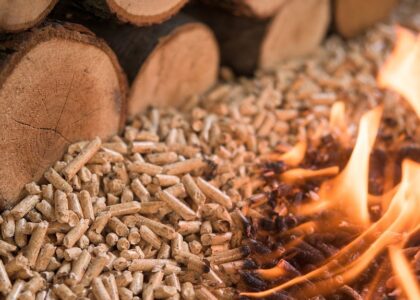 Biomass Pellets Market