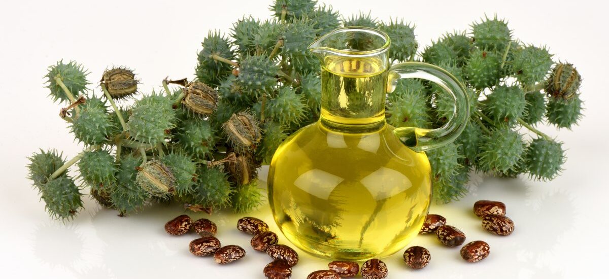 Castor Oil Derivatives Market