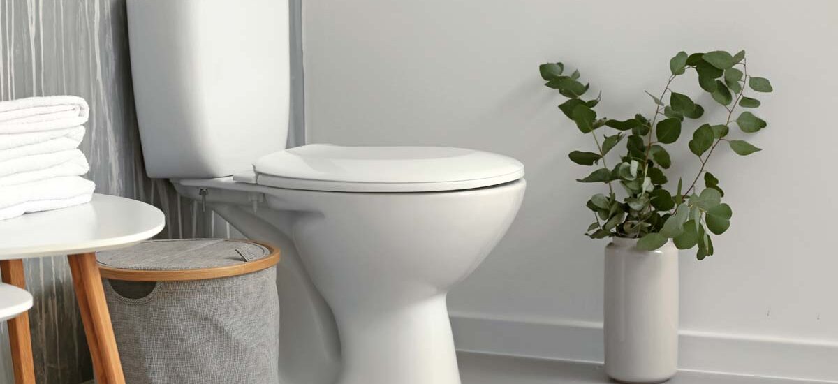 Ceramic Sanitary Ware Market