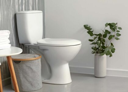 Ceramic Sanitary Ware Market
