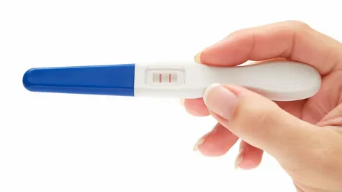 Fertility and Pregnancy Rapid Test Kit Market