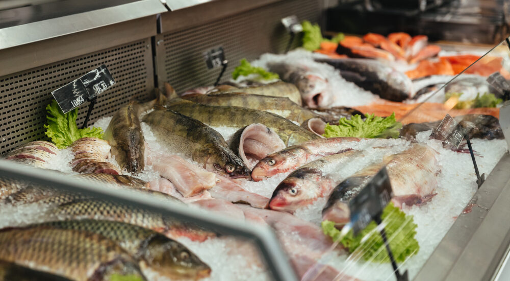 Fish Filleting Machine Market