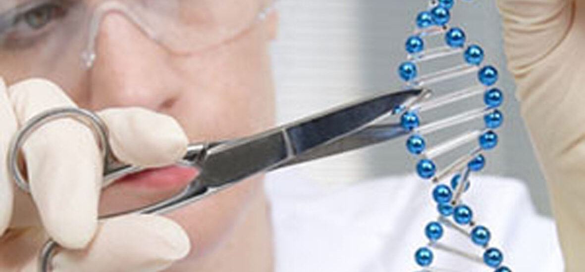 Gene Editing Tool Market