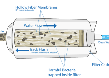 Hollow Fiber Ceramic Membranes Market