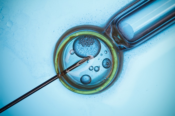 In Vitro Fertilization Banking Services Industry