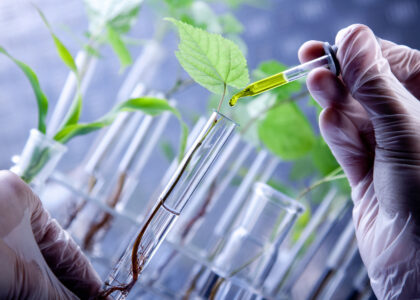 Middle East and Africa Bio-Stimulants Market