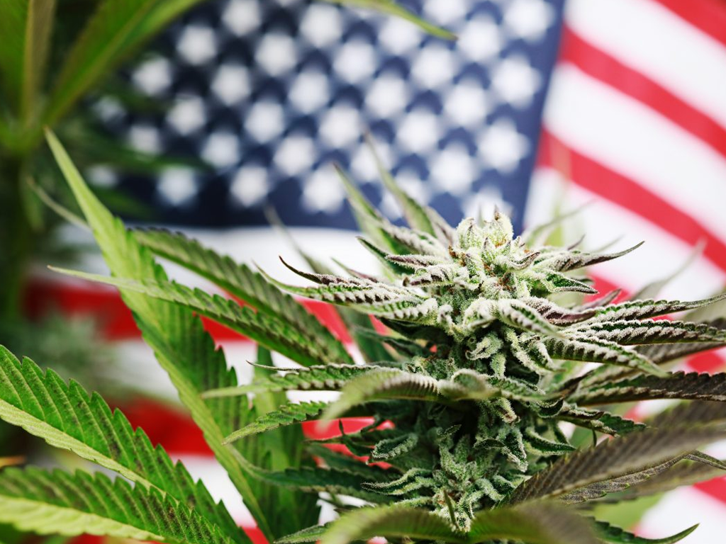 North America, Europe, And Asia Pacific Legal Cannabis Industry