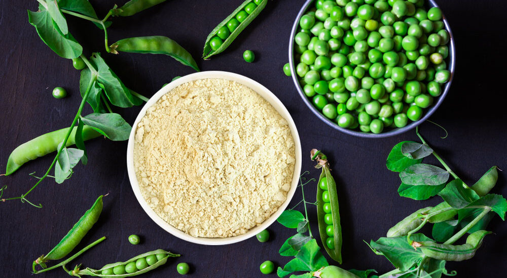 Pea Protein Ingredients Market