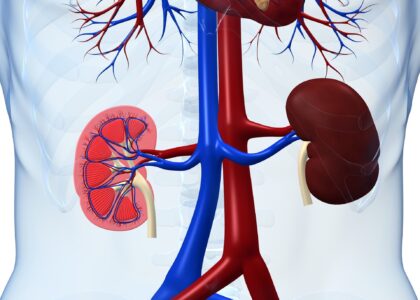 Renal Function Test Market