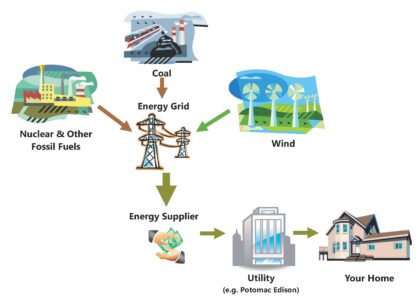 Renewable Naphtha Market
