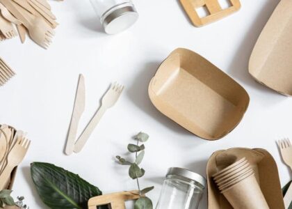Biodegradable Disposable Tableware Market