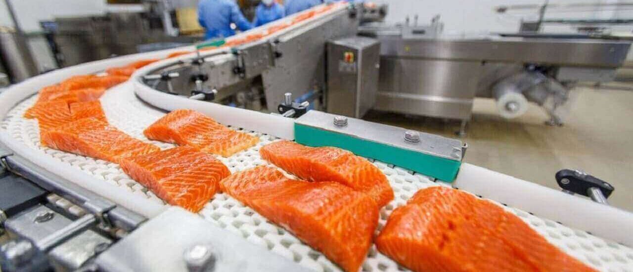 The Fish Processing Market Set to Reach US 368.5 Billion by 2033