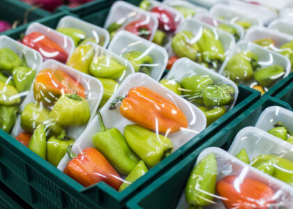 Sanitary Food & Beverage Packaging Market