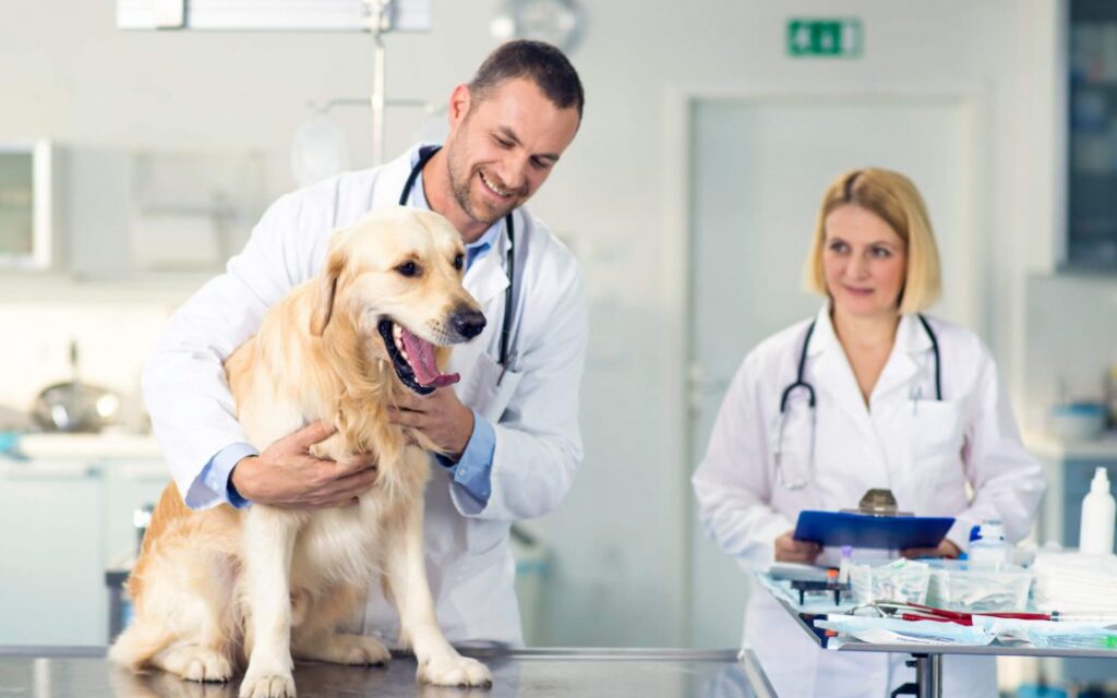 Animal Healthcare Market Animal Healthcare Market