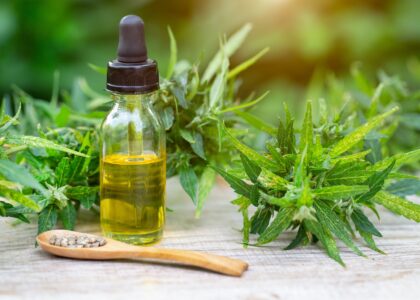 CBD Oil Market