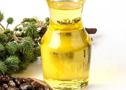 Castor Oil Derivatives Market