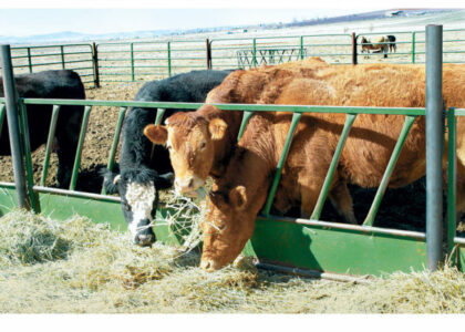 Cattle Feeder Panels Market
