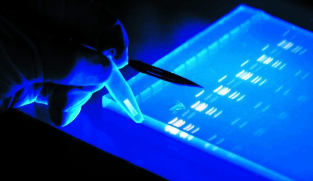 Electrophoresis Market