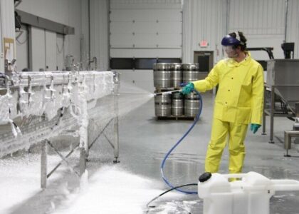 Food & Beverage Industrial Disinfection and Cleaning Market