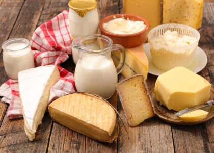 Fortified Dairy Products Market