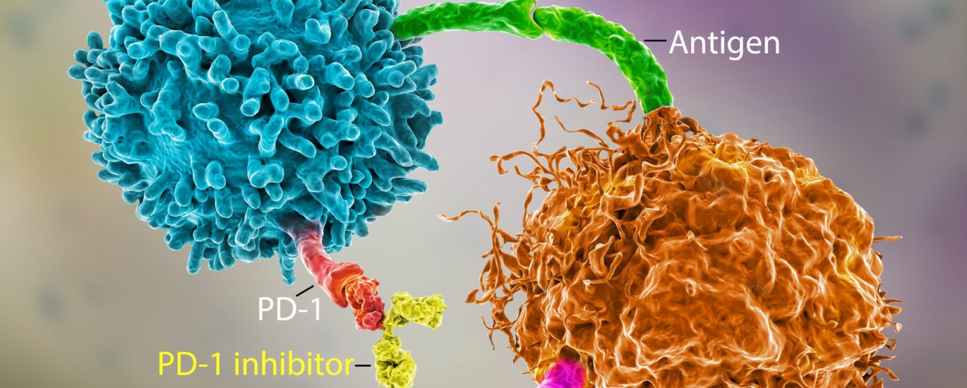 Global PD-1/PD-L1 Inhibitors Industry