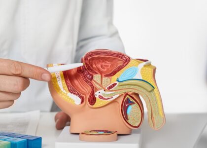 Global Prostate Health Industry