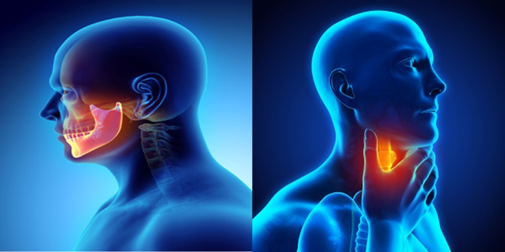 Head and Neck Cancer Therapeutics Market