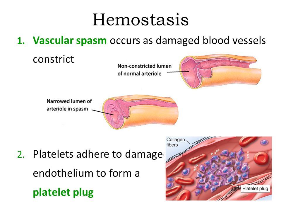 Hemostasis Testing Systems Industry