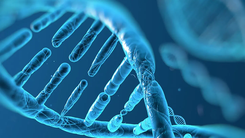 Global Multiplex Molecular Diagnostics Industry is anticipated to be valued at US$ 39.25 Billion by 2032 as forecasted by FMI Multiplex Molecular Diagnostics Industry