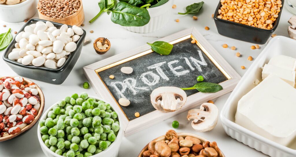 Plant-Derived Proteins Industry