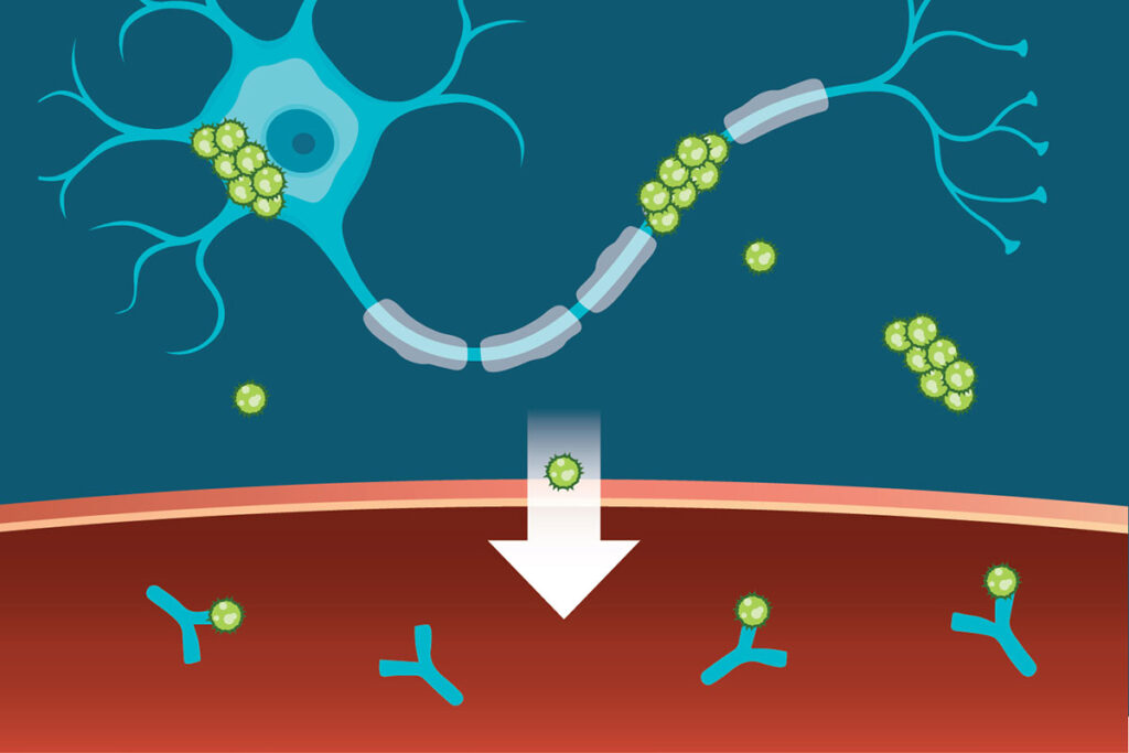 Research Antibodies Industry