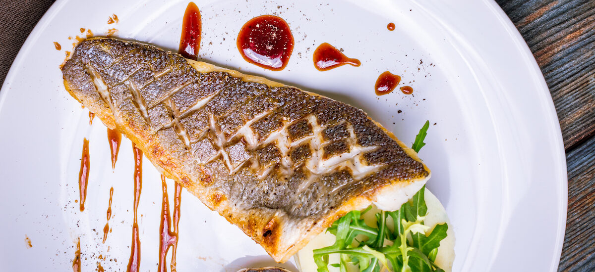 Asian Sea Bass Market Surges to US 1,492 Million by 2033 Nourishing