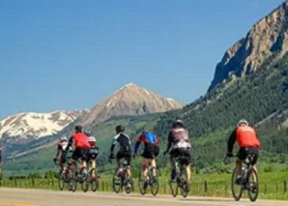 Bicycle Tourism Market