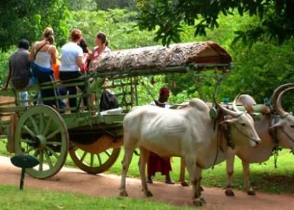 Rural Tourism Market