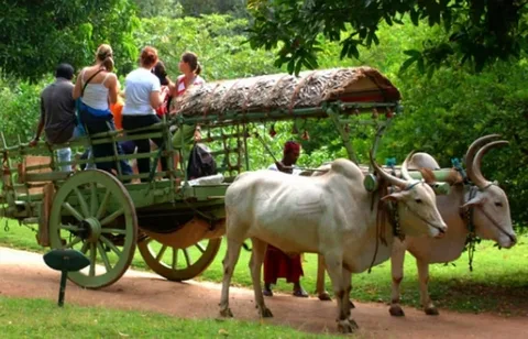 Rural Tourism Market